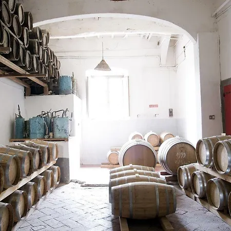 Fattoria Di - Bacchereto
