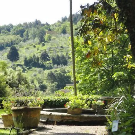 Fattoria Di - Bacchereto